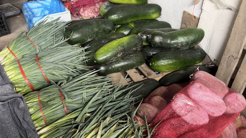 蔬菜價格高位運行，專家預測九月上旬將回落